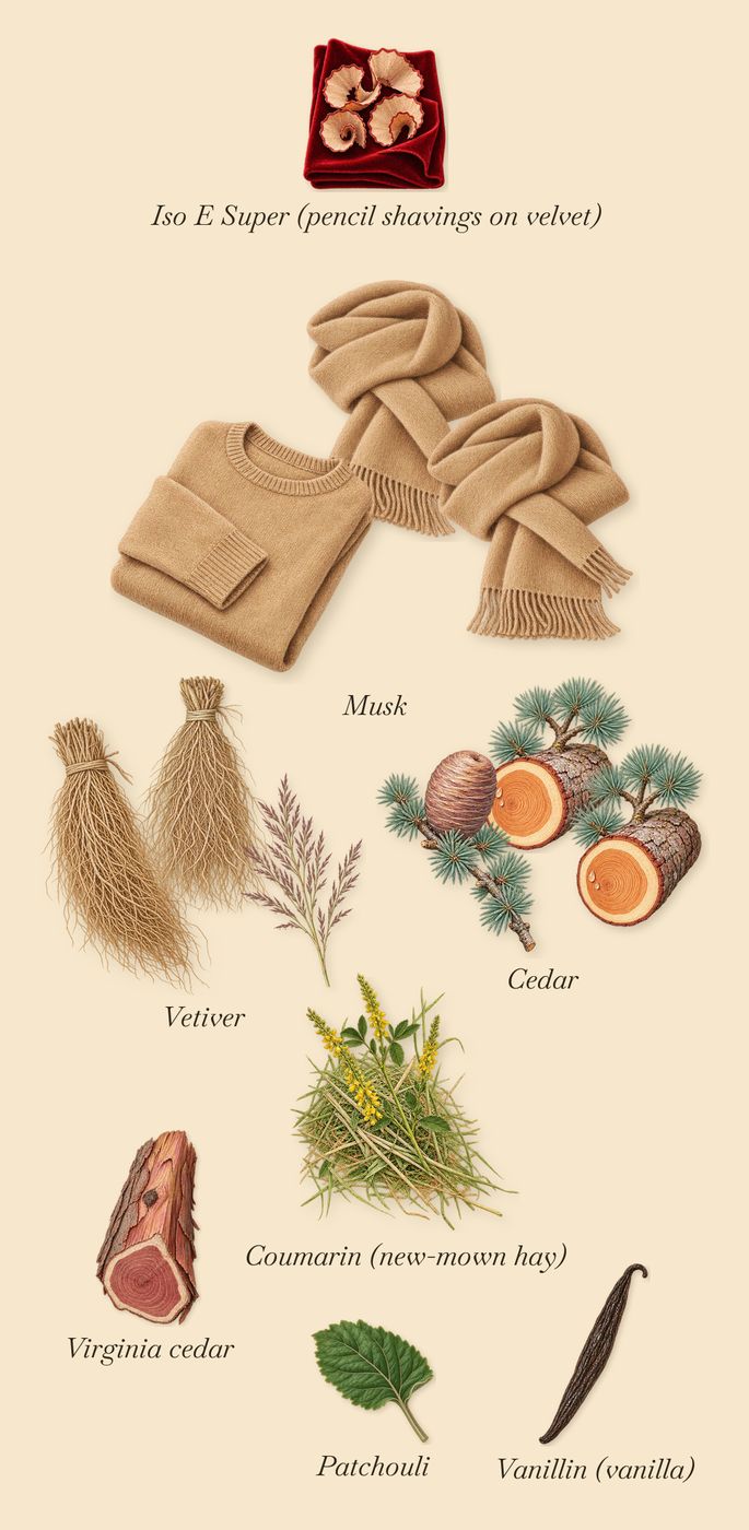 Rose Flamboyante, what stays: Cedar, Vetiver, Musk, Patchouli, Virginia cedar, Iso E Super (pencil shavings on velvet), Vanillin (vanilla), Coumarin (new-mown hay)