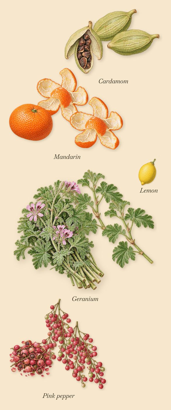 Rose Flamboyante, when you spray it: Mandarin, Pink pepper, Cardamom, Geranium, Lemon
