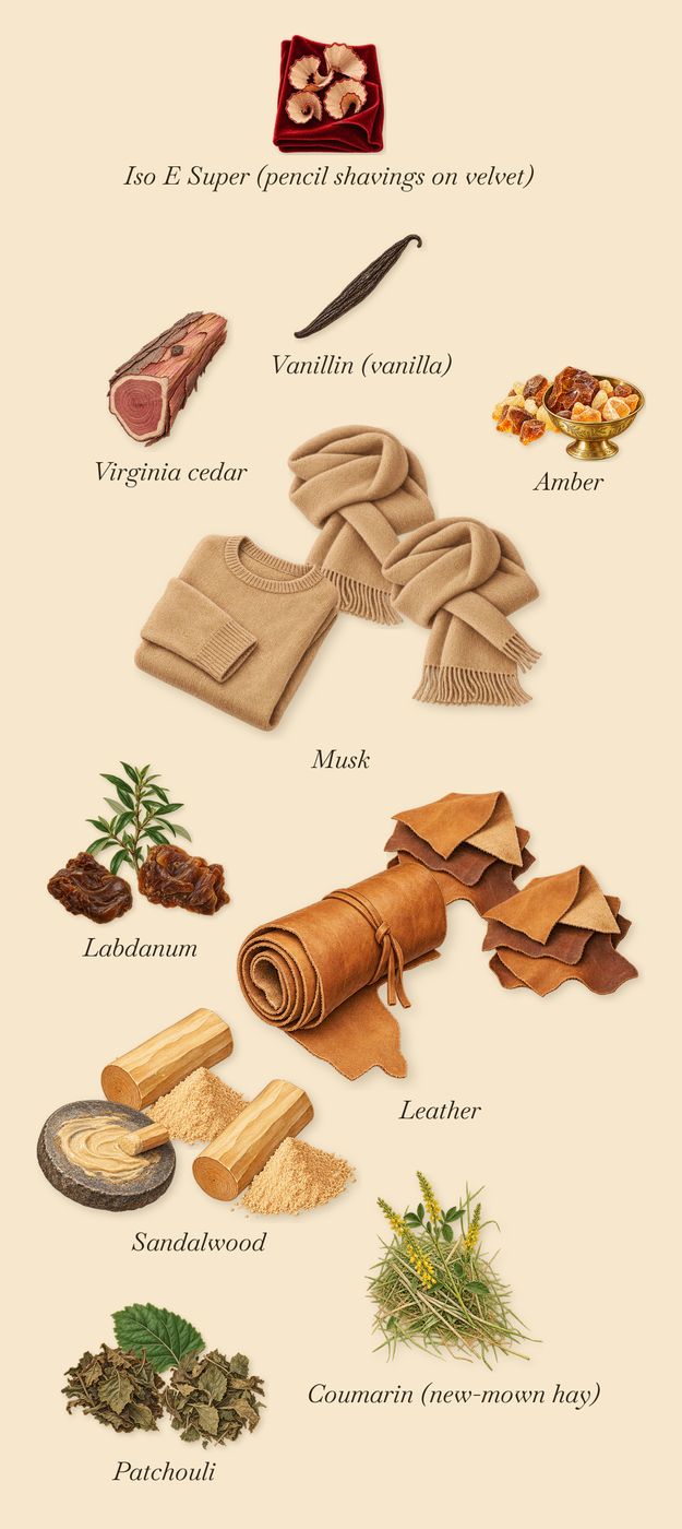 Safran Royal, what stays: Patchouli, Sandalwood, Labdanum, Musk, Leather, Amber, Virginia cedar, Iso E Super (pencil shavings on velvet), Coumarin (new-mown hay), Vanillin (vanilla)