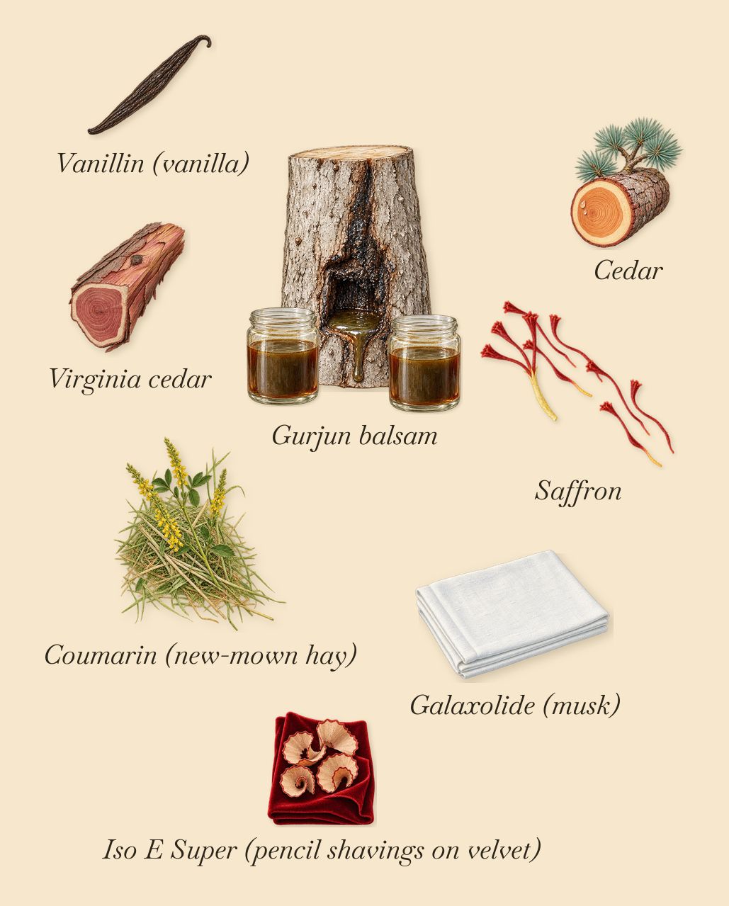 Santal Boisé, what stays: Gurjun balsam, Saffron, Virginia cedar, Cedar, Iso E Super (pencil shavings on velvet), Vanillin (vanilla), Galaxolide (musk), Coumarin (new-mown hay)