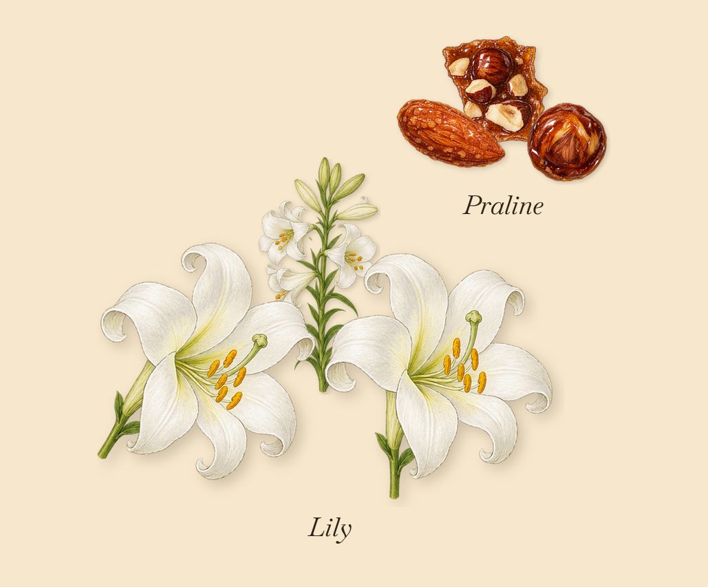 Vanille Rouge, as it settles: Praline, Lily