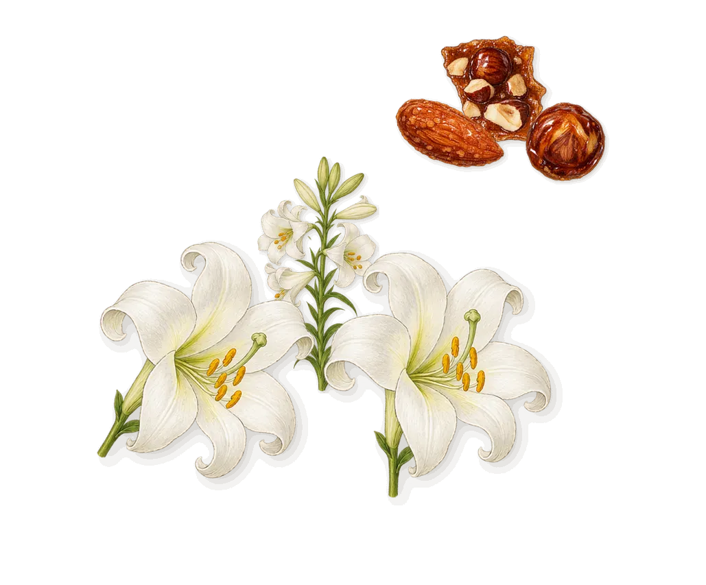 Vanille Rouge, as it settles: Praline, Lily