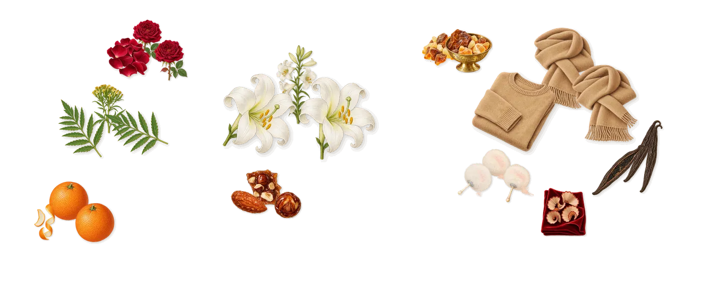 Vanille Rouge’s scent picture, a draft: rose, marigold, sweet orange, praline, lily, musk drawn so far; dashed outlines where nothing is drawn yet