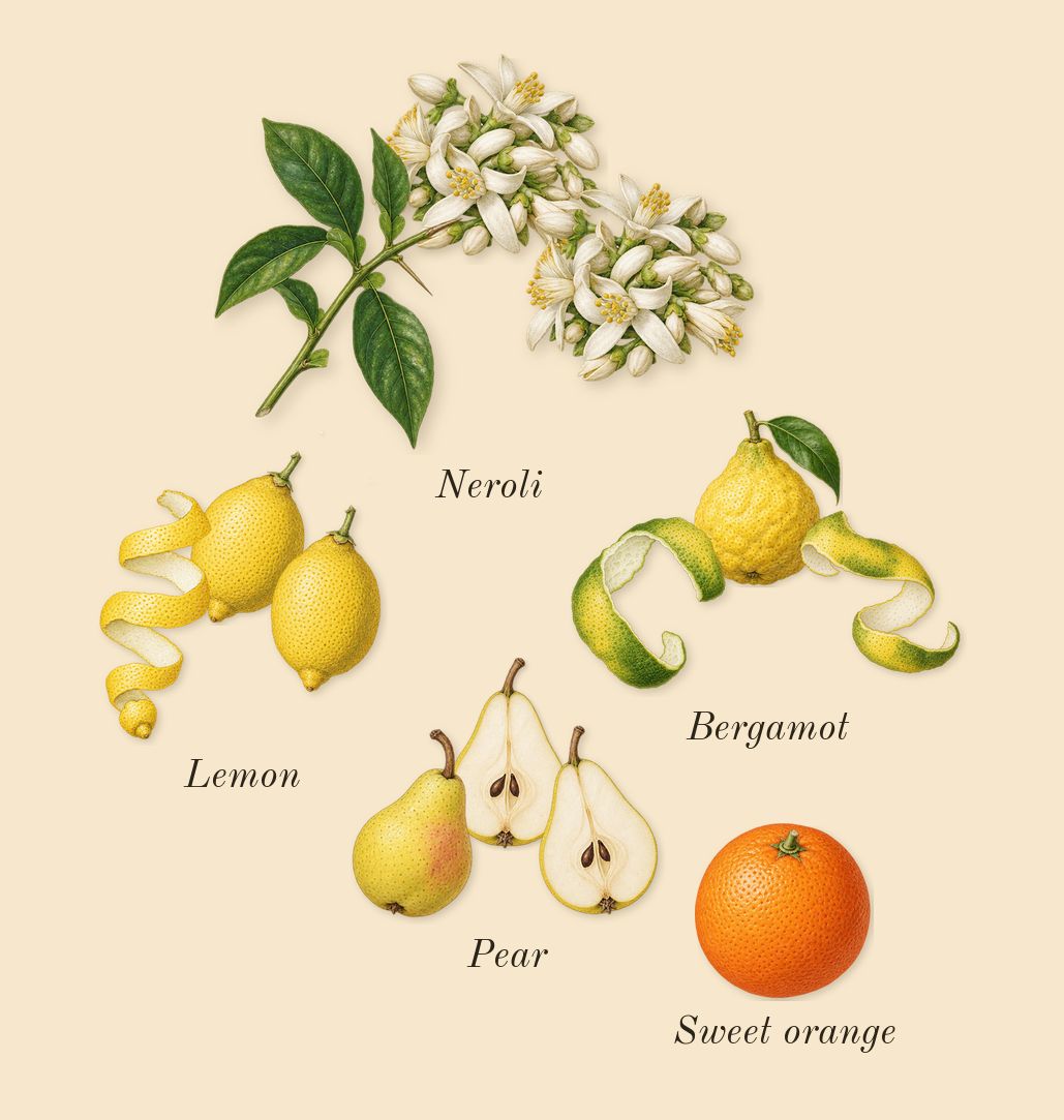 Yellow Diamond, top notes: Lemon, Pear, Neroli, Bergamot, Sweet orange