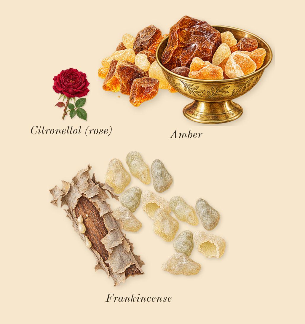 Portofino '97, heart: Amber, Frankincense, Citronellol (rose)