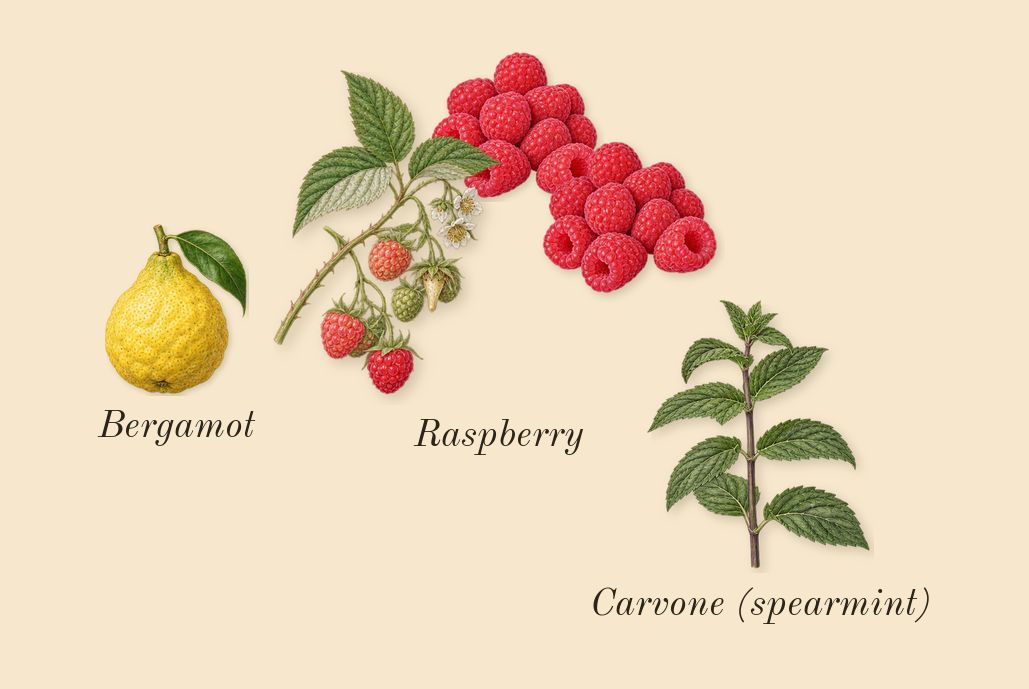 Bonbon Berry Jelly, top notes: Raspberry, Bergamot, Carvone (spearmint)