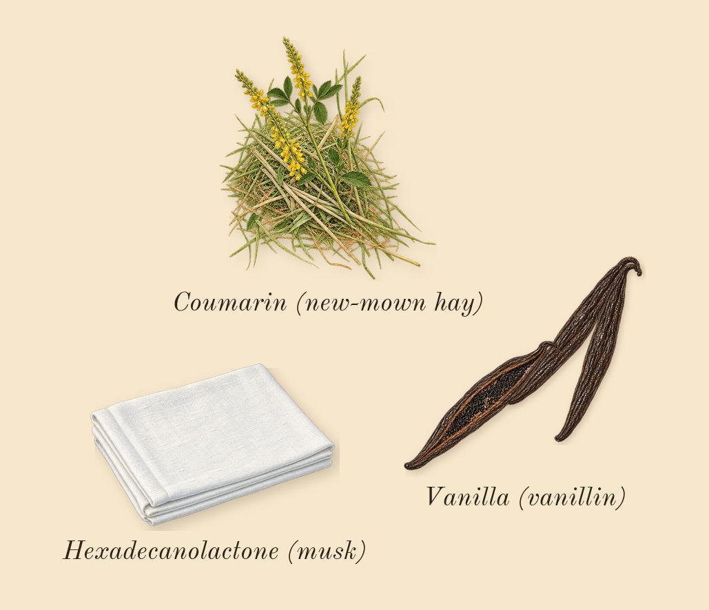 Bonbon Caramel Crunch, dry-down: Vanilla (vanillin), Coumarin (new-mown hay), Hexadecanolactone (musk)
