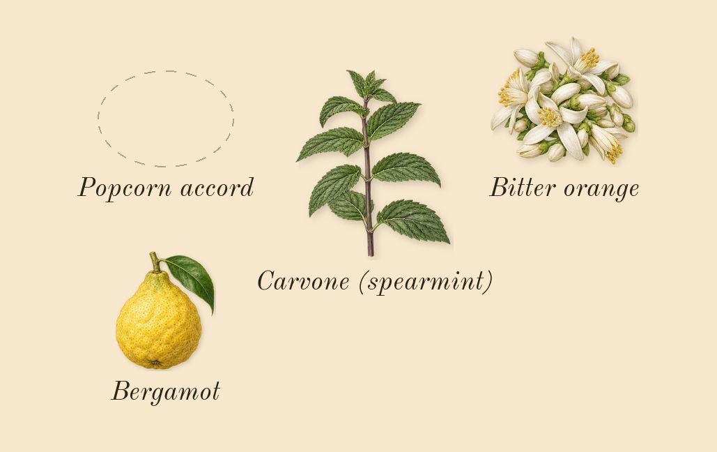 Bonbon Caramel Crunch, top notes: Popcorn accord, Bergamot, Bitter orange, Carvone (spearmint)