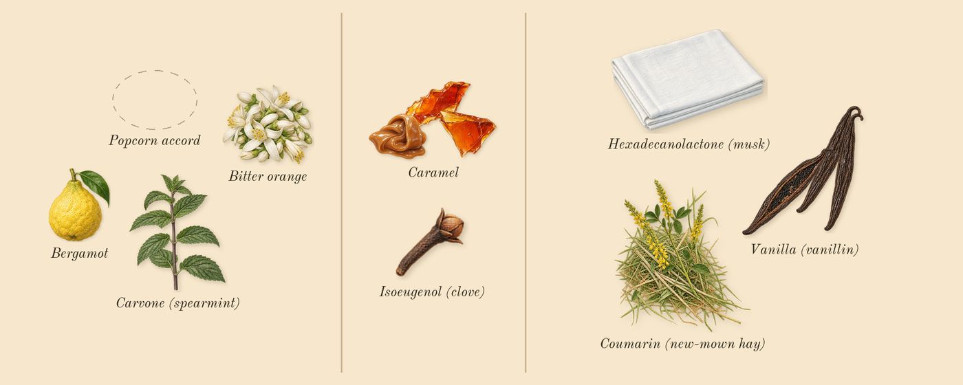 Bonbon Caramel Crunch’s scent picture, a draft: caramel, vanilla (vanillin), bergamot, bitter orange, coumarin (new-mown hay), isoeugenol (clove) drawn so far; dashed outlines where nothing is drawn yet