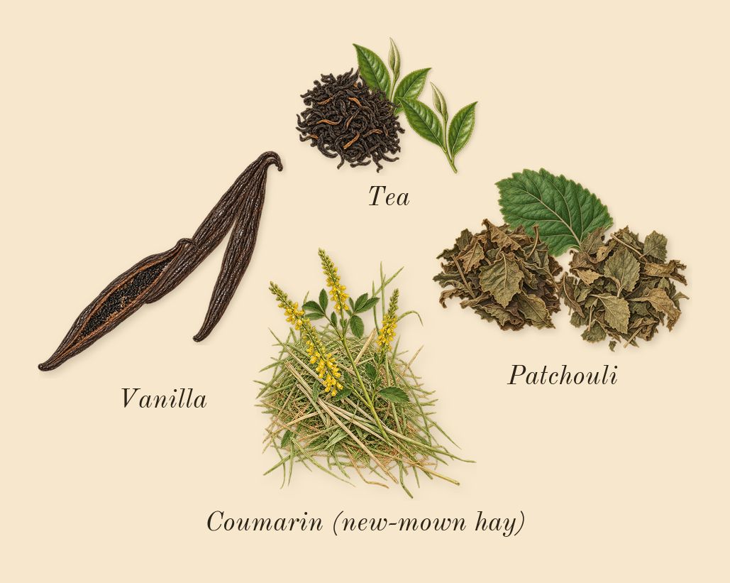 Flowerbomb Extreme, dry-down: Vanilla, Tea, Patchouli, Coumarin (new-mown hay)