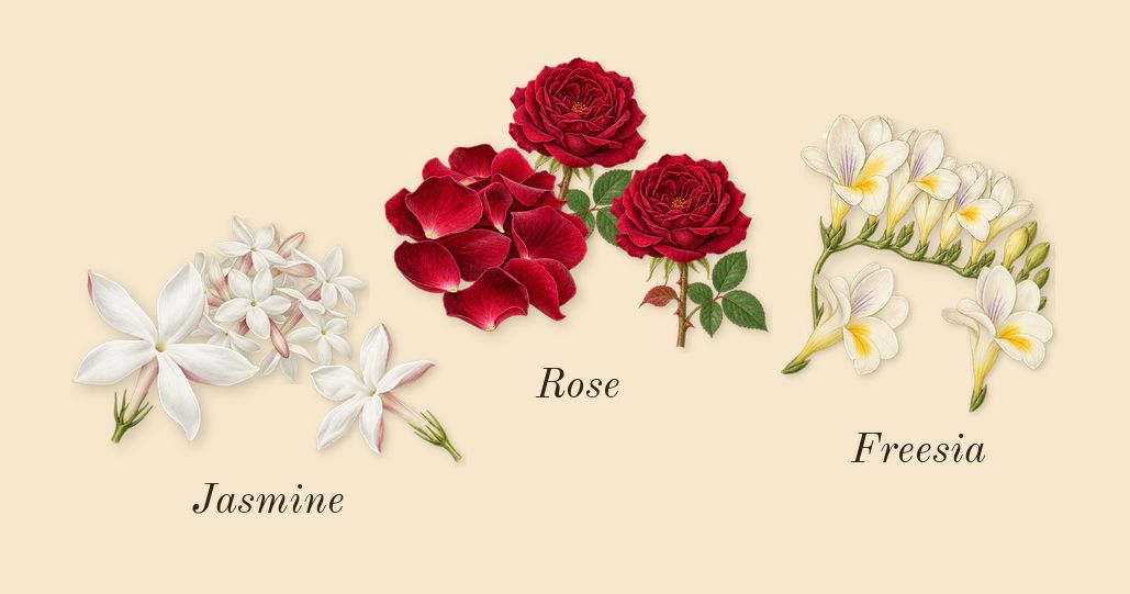 Flowerbomb Extreme, heart: Rose, Jasmine, Freesia