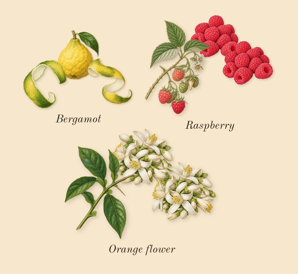 Flowerbomb Extreme, top notes: Raspberry, Bergamot, Orange flower