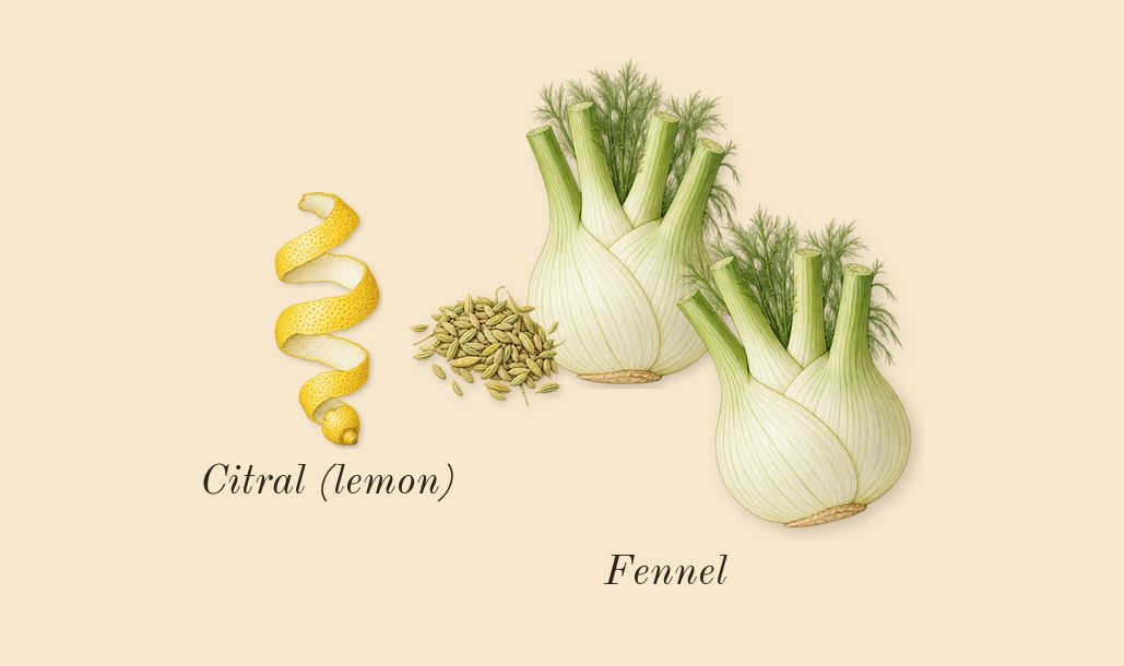Good Fortune, top notes: Fennel, Citral (lemon)