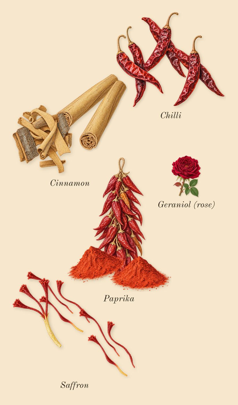 Spicebomb, heart: Cinnamon, Saffron, Paprika, Chilli, Geraniol (rose)