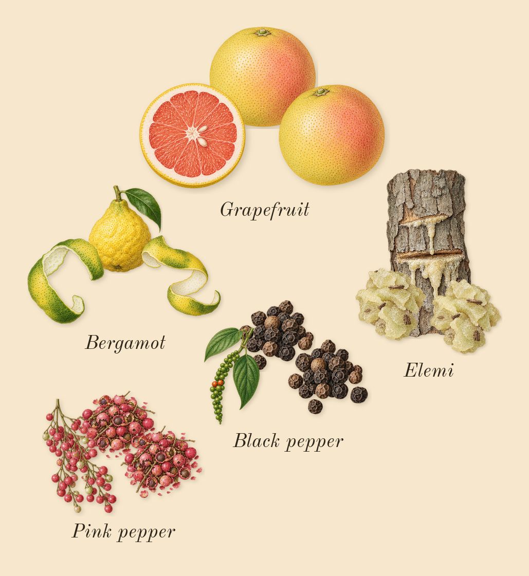 Spicebomb, top notes: Pink pepper, Elemi, Bergamot, Grapefruit, Black pepper