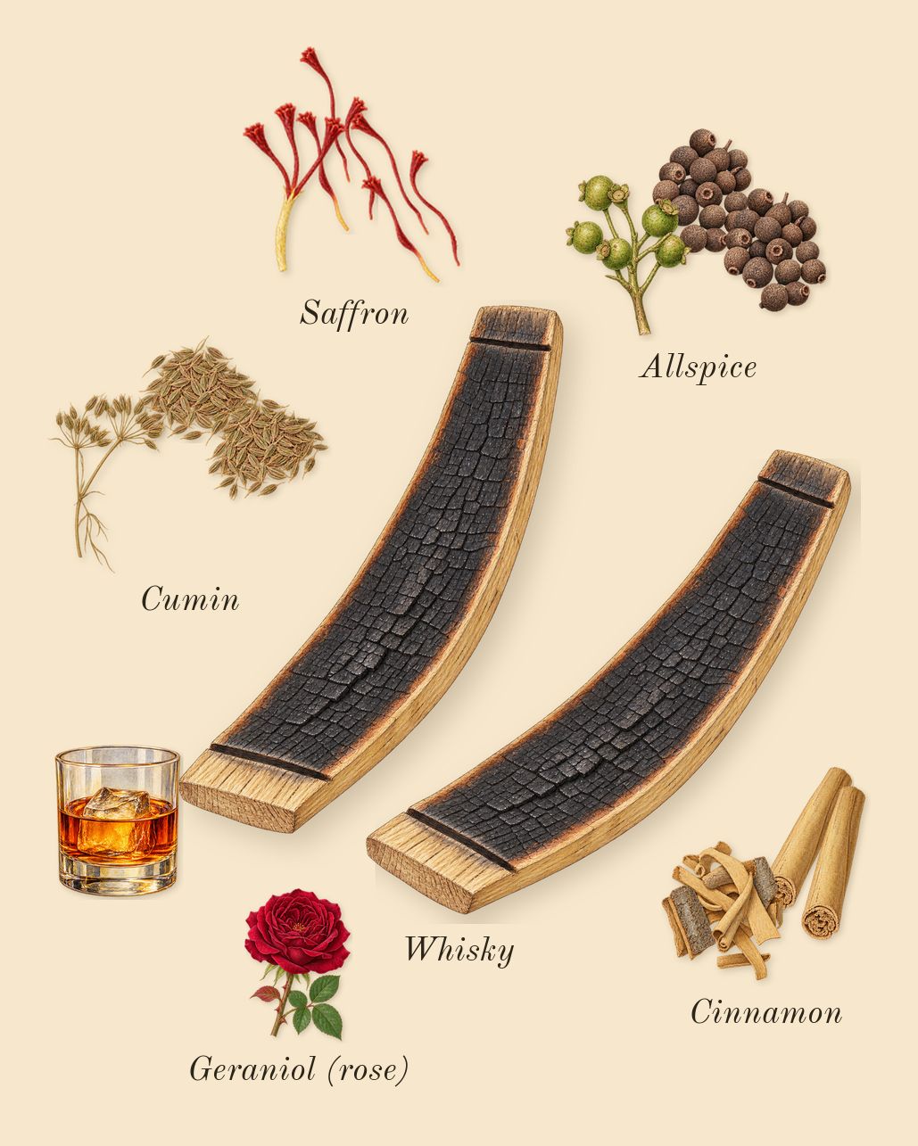 Spicebomb Extreme, heart: Saffron, Cinnamon, Whisky, Cumin, Allspice, Geraniol (rose)