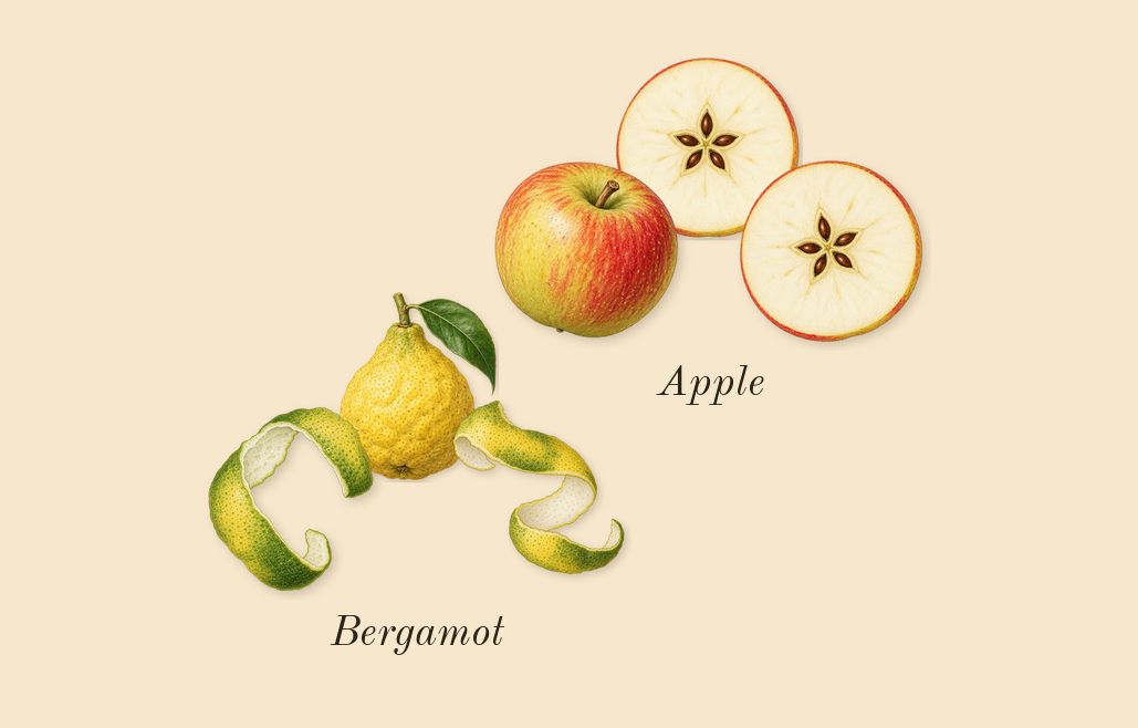 Dear Polly, top notes: Bergamot, Apple
