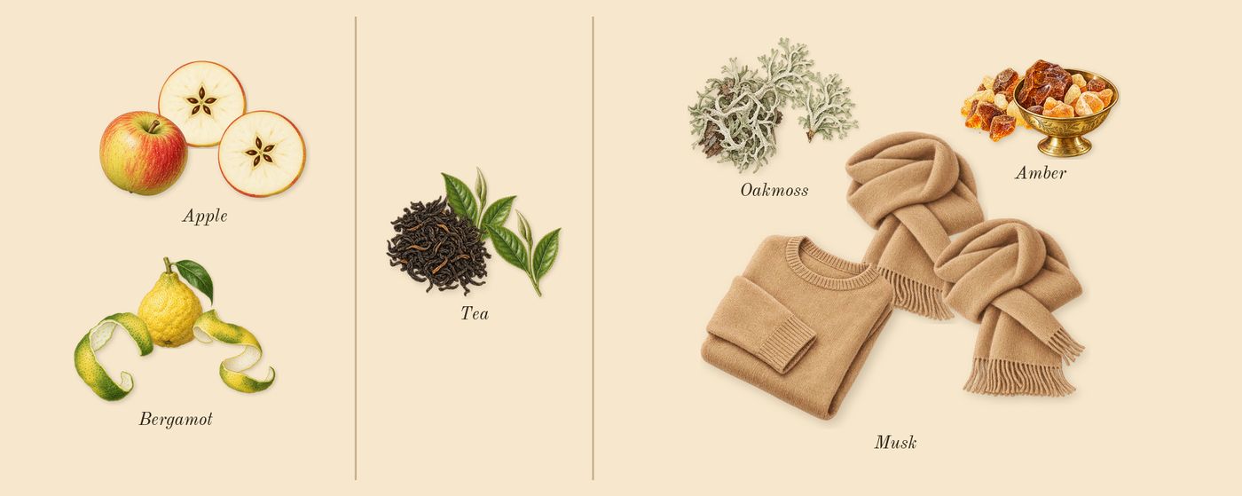 Dear Polly’s scent picture, a draft: bergamot, apple, tea, oakmoss, musk, amber drawn so far; dashed outlines where nothing is drawn yet