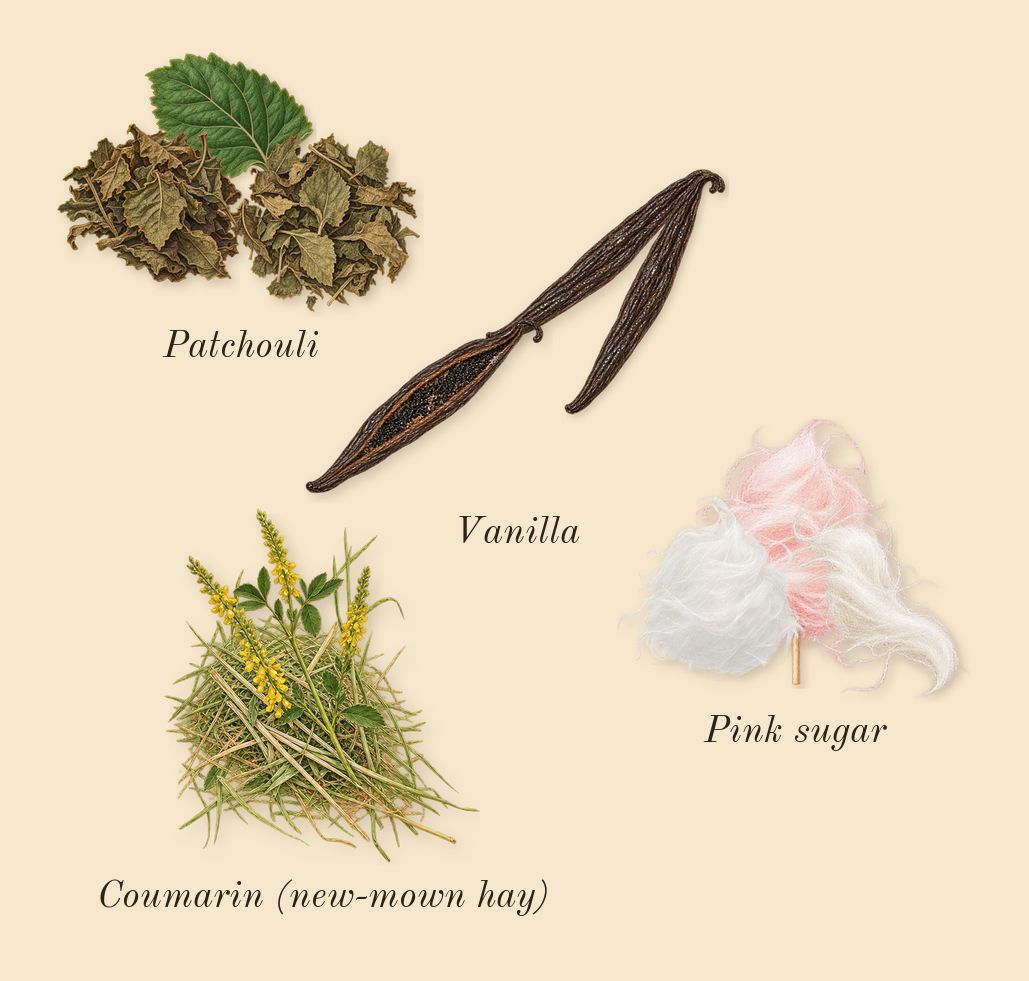 Mango Skin, dry-down: Patchouli, Vanilla, Pink sugar, Coumarin (new-mown hay)