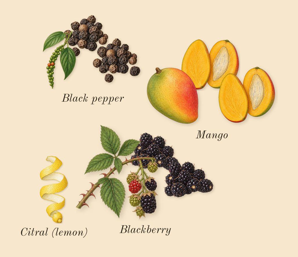 Mango Skin, top notes: Blackberry, Mango, Black pepper, Citral (lemon)