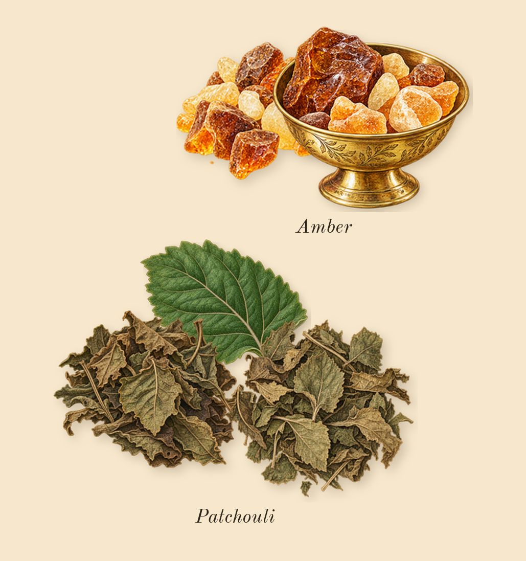 Morning Chess, dry-down: Patchouli, Amber