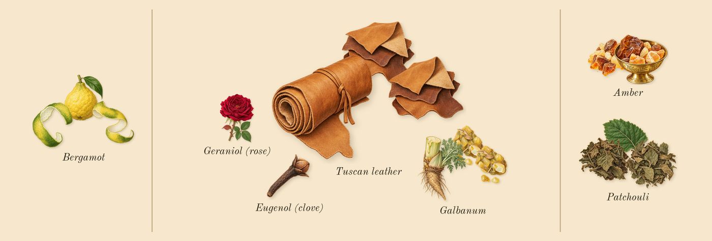 Morning Chess’s scent picture, a draft: bergamot, tuscan leather, galbanum, patchouli, amber, geraniol (rose) drawn so far; dashed outlines where nothing is drawn yet