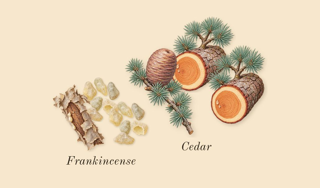 Peony Couture, dry-down: Frankincense, Cedar