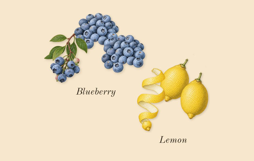 Poets of Berlin, top notes: Blueberry, Lemon