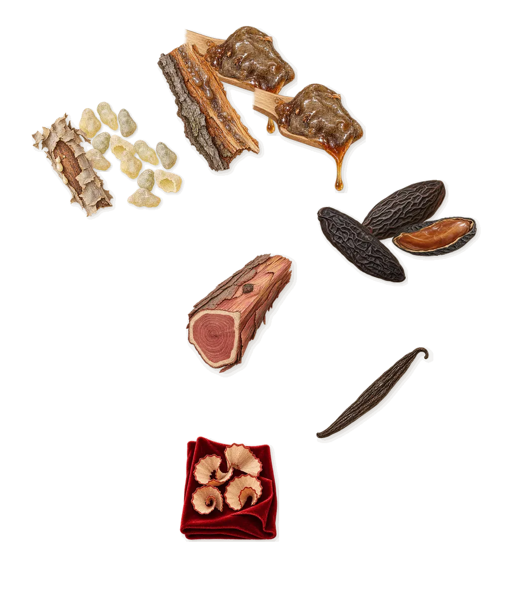 Avanguardia, what stays: Tonka (coumarin), Styrax, Frankincense, Virginia cedar, Iso E Super (pencil shavings on velvet), Vanillin (vanilla)
