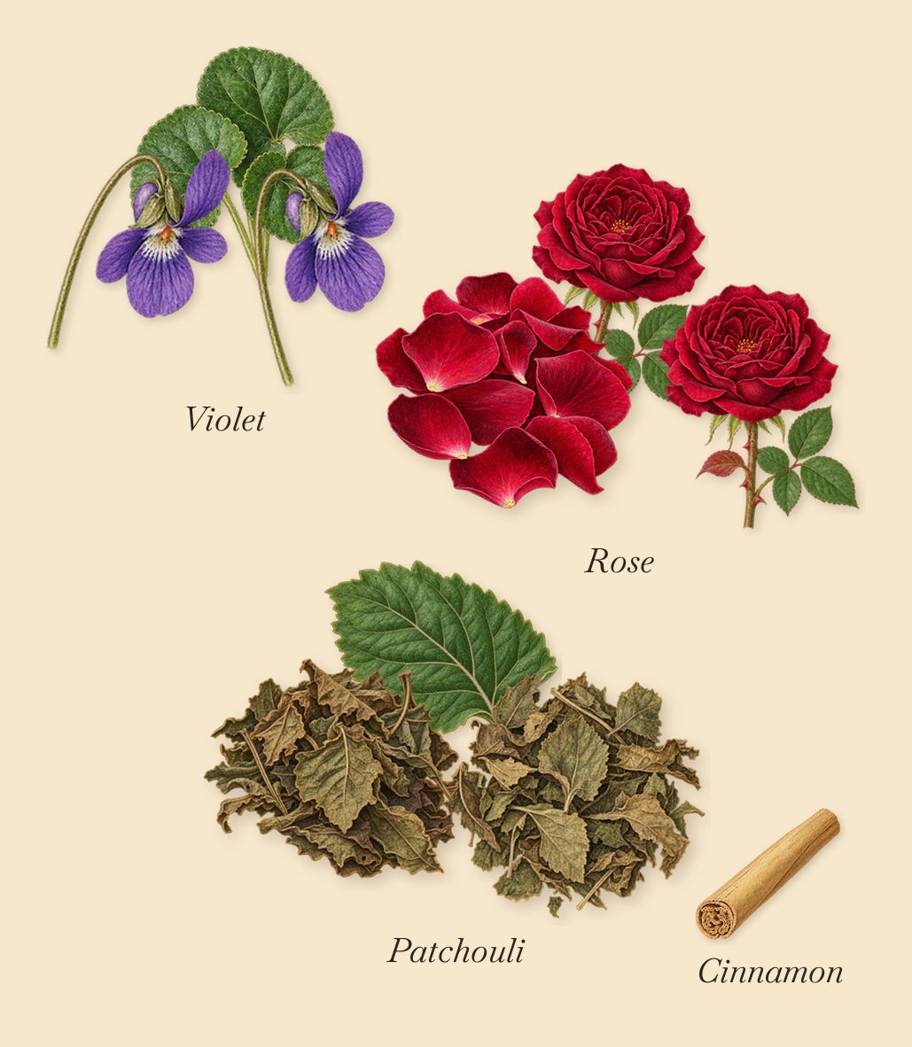 Avanguardia, as it settles: Violet, Rose, Patchouli, Cinnamon