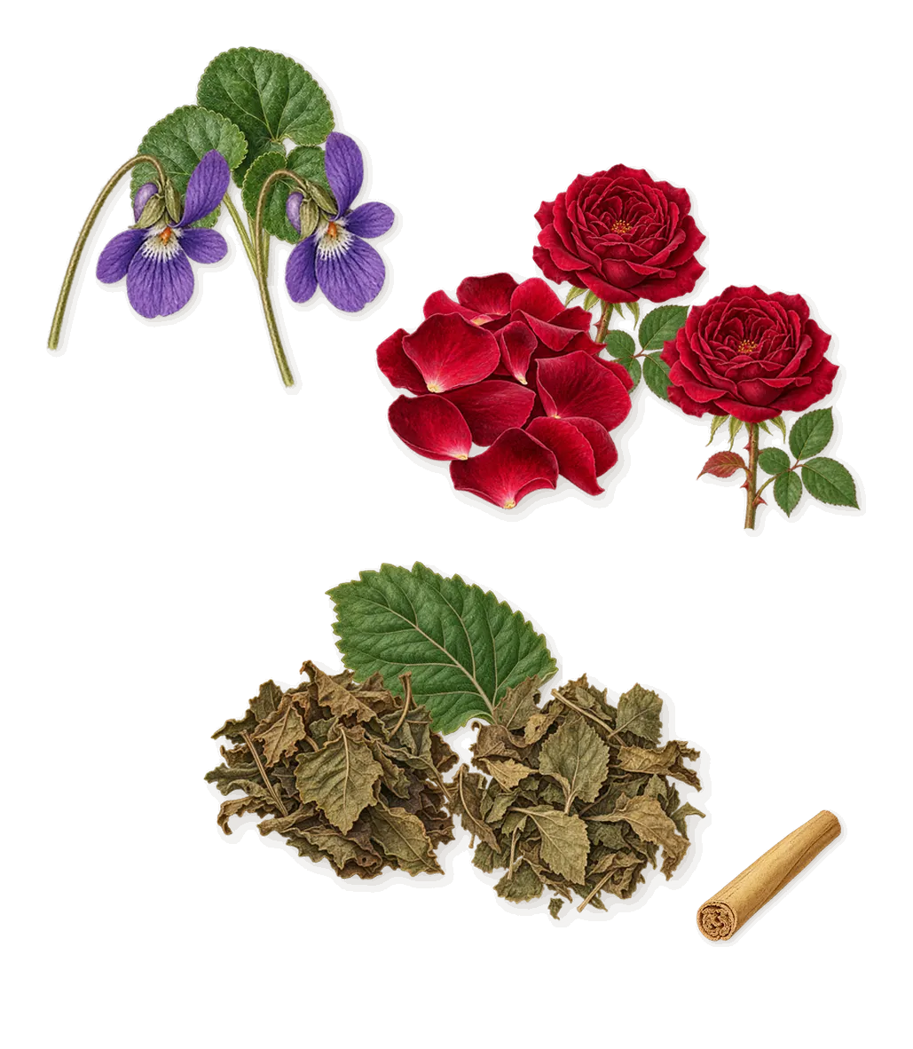 Avanguardia, as it settles: Violet, Rose, Patchouli, Cinnamon