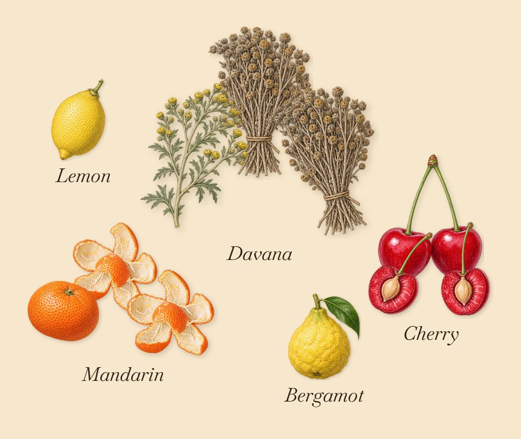 Avanguardia, when you spray it: Mandarin, Davana, Cherry, Bergamot, Lemon
