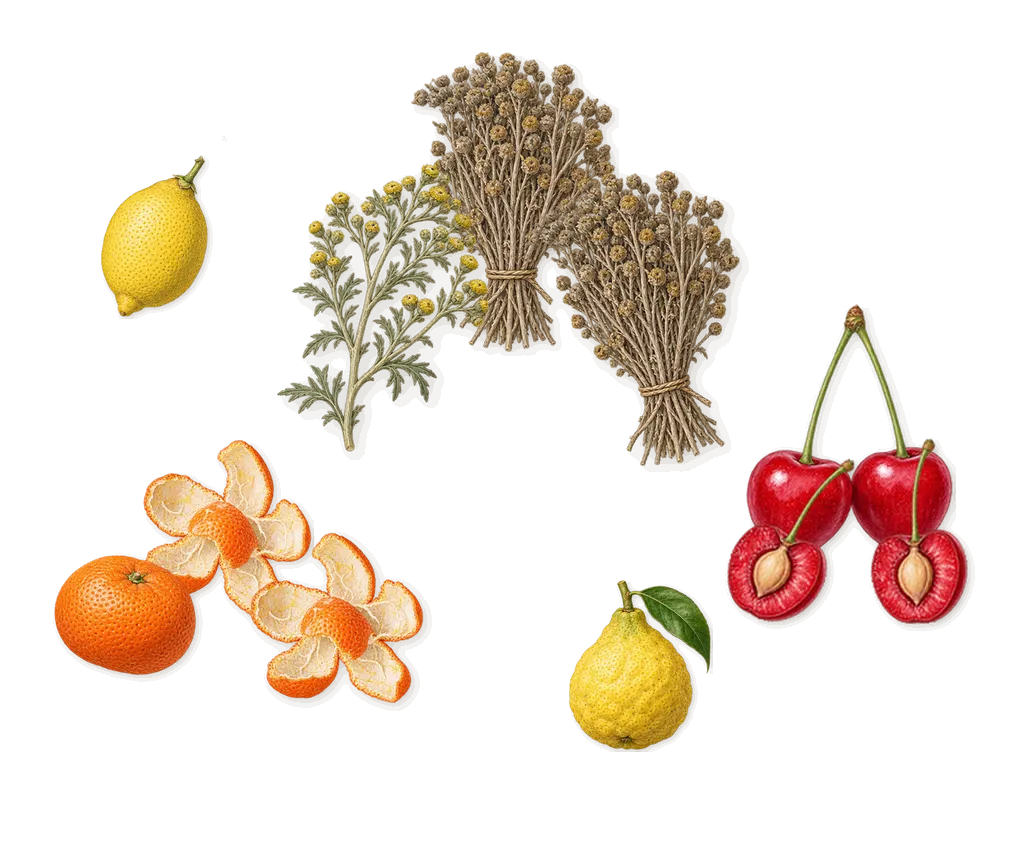 Avanguardia, when you spray it: Mandarin, Davana, Cherry, Bergamot, Lemon