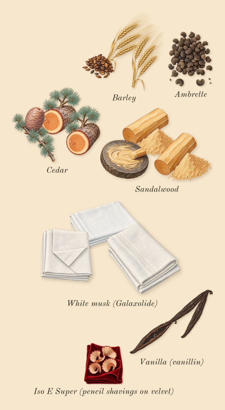 Dama Bianca, dry-down: Cedar, White musk (Galaxolide), Barley, Ambrette, Vanilla (vanillin), Sandalwood, Iso E Super (pencil shavings on velvet)