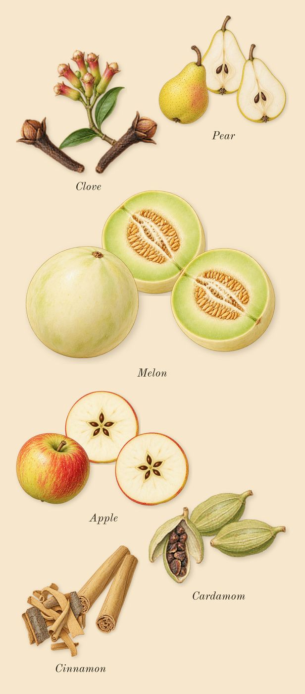 Erba Gold, heart: Clove, Apple, Cardamom, Melon, Pear, Cinnamon