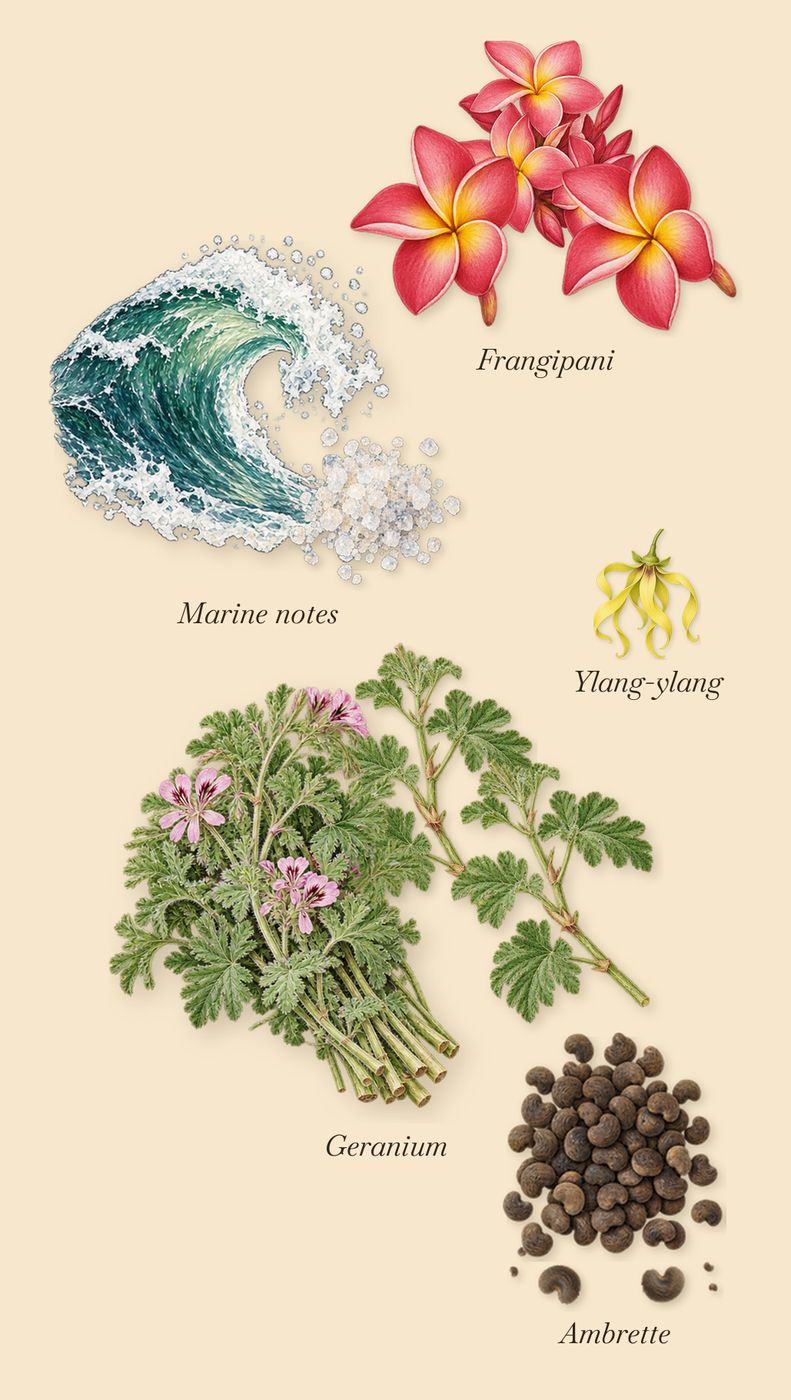 Fierezza, as it settles: Geranium, Marine notes, Ambrette, Frangipani, Ylang-ylang
