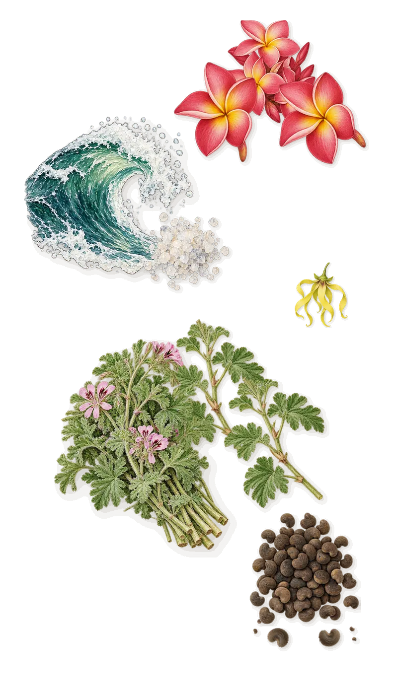 Fierezza, as it settles: Geranium, Marine notes, Ambrette, Frangipani, Ylang-ylang