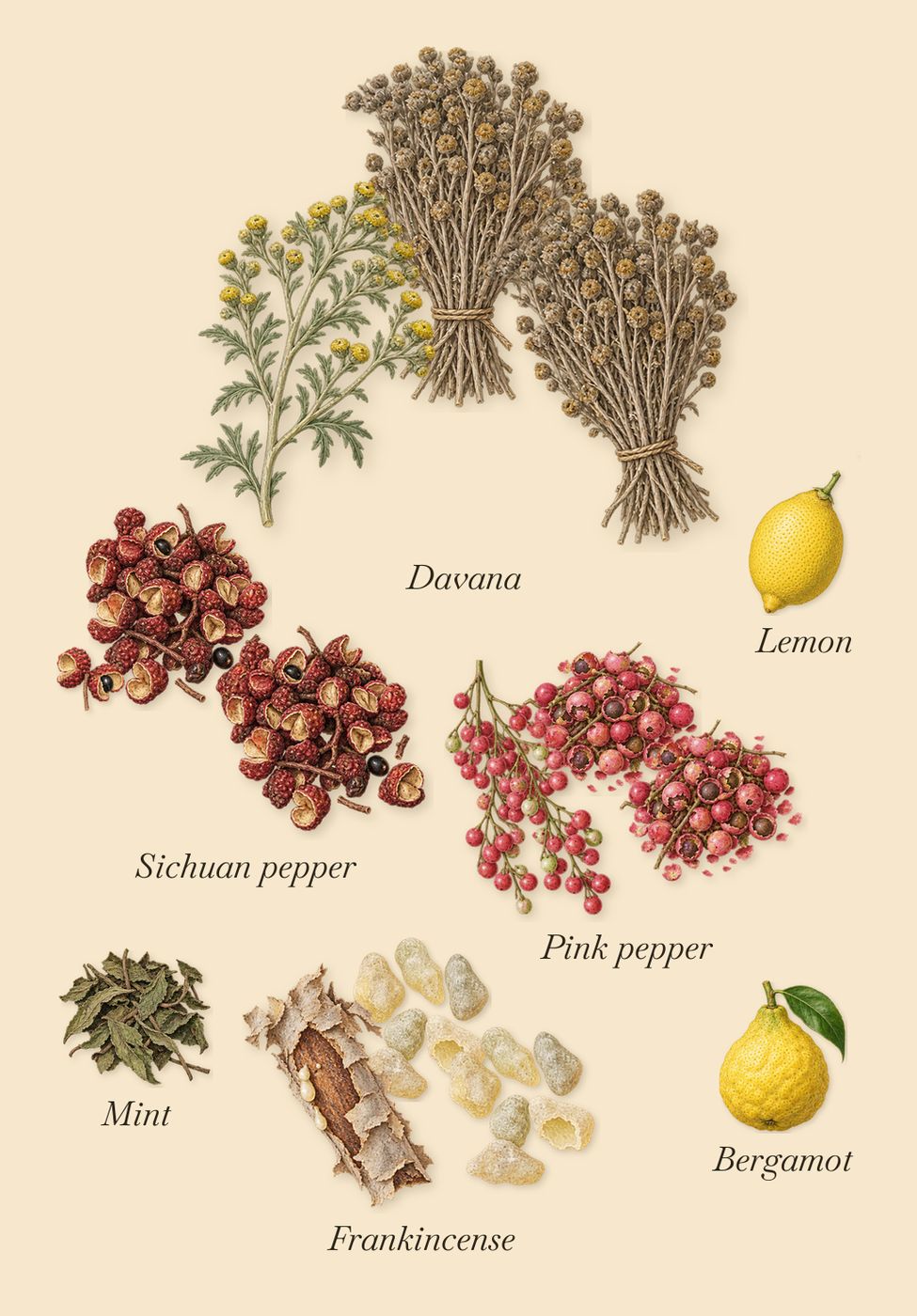 Fierezza, when you spray it: Pink pepper, Davana, Sichuan pepper, Frankincense, Bergamot, Lemon, Mint