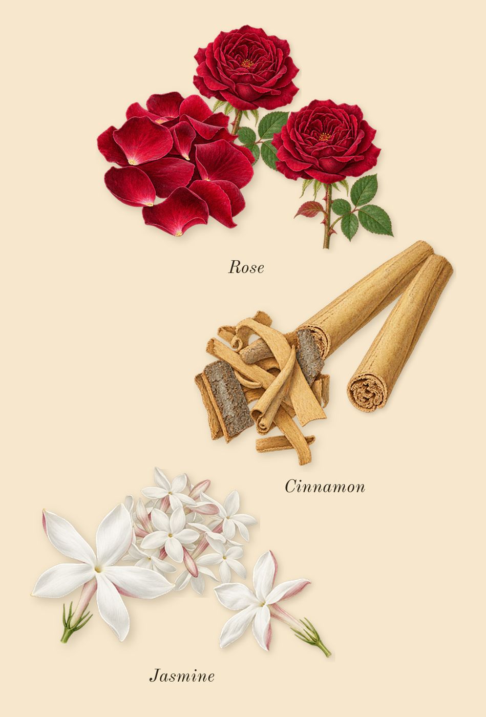 Lira, heart: Cinnamon, Jasmine, Rose