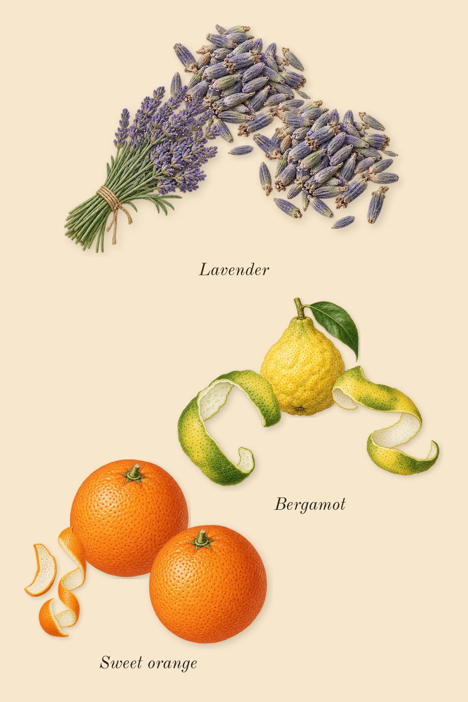 Lira, top notes: Sweet orange, Lavender, Bergamot