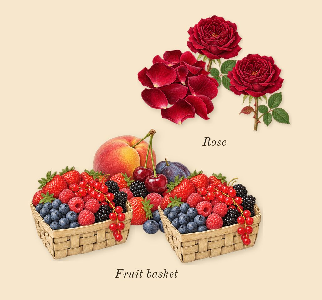 Opera, top notes: Fruit basket, Rose