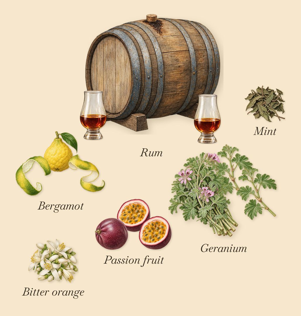 Tony Iommi Monkey Special, when you spray it: Bergamot, Geranium, Passion fruit, Rum, Bitter orange, Mint