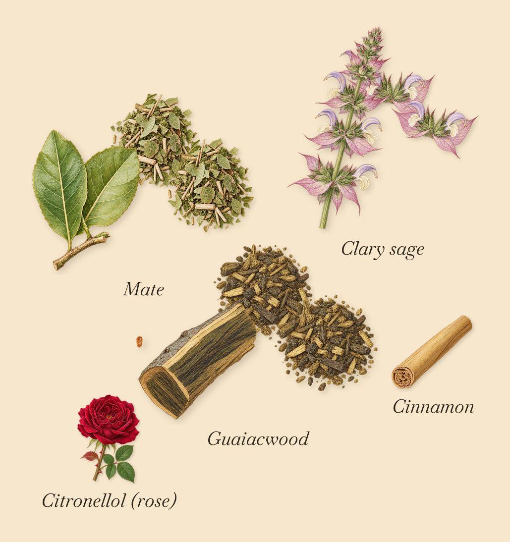 Torino22, as it settles: Clary sage, Guaiacwood, Mate, Cinnamon, Citronellol (rose)