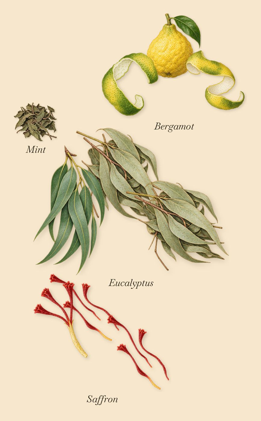 Torino22, when you spray it: Eucalyptus, Bergamot, Saffron, Mint