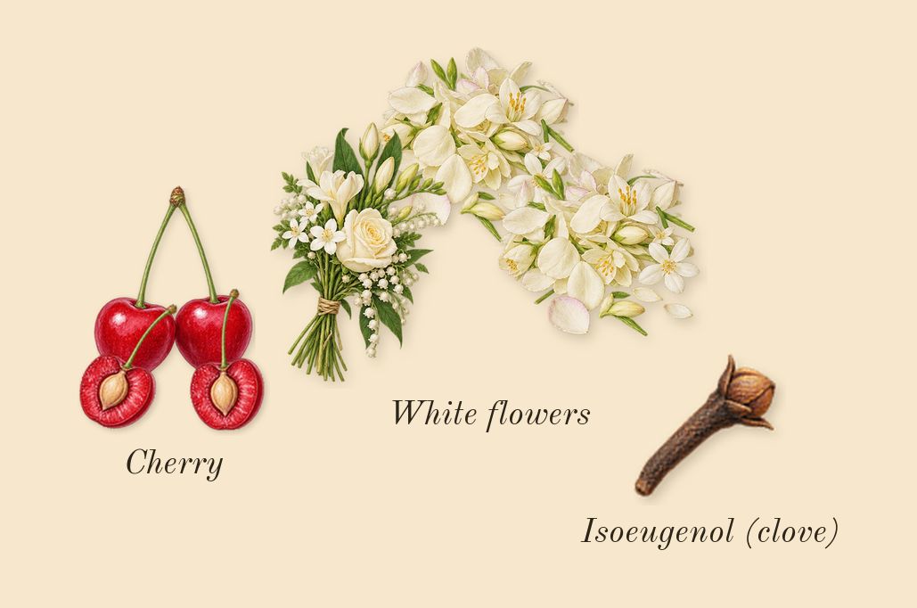Black Opium Over Red, heart: Cherry, White flowers, Isoeugenol (clove)
