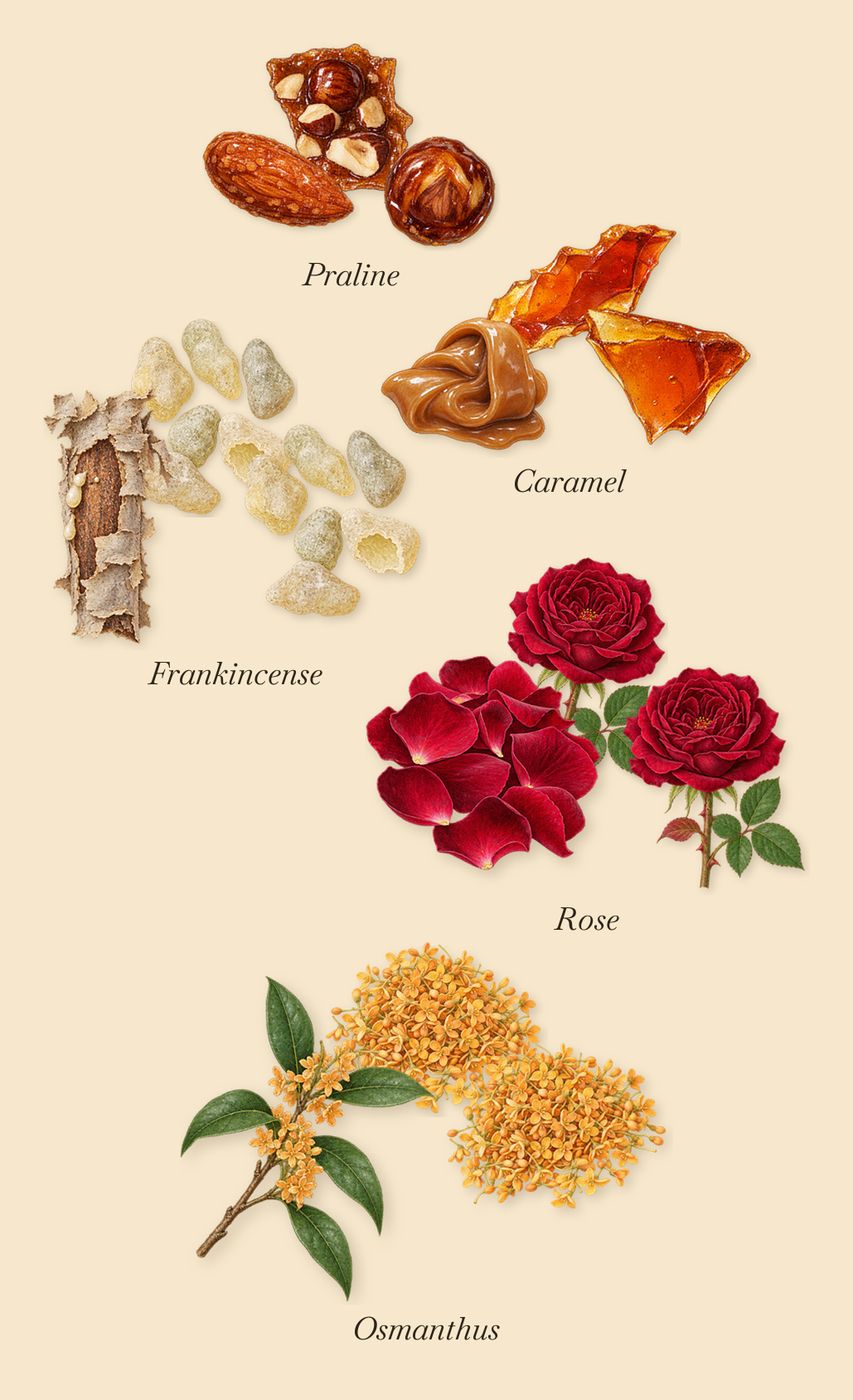 Caban, as it settles: Frankincense, Osmanthus, Caramel, Rose, Praline