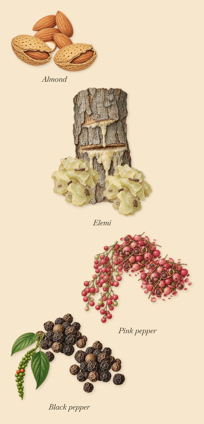 Caban, when you spray it: Pink pepper, Black pepper, Elemi, Almond