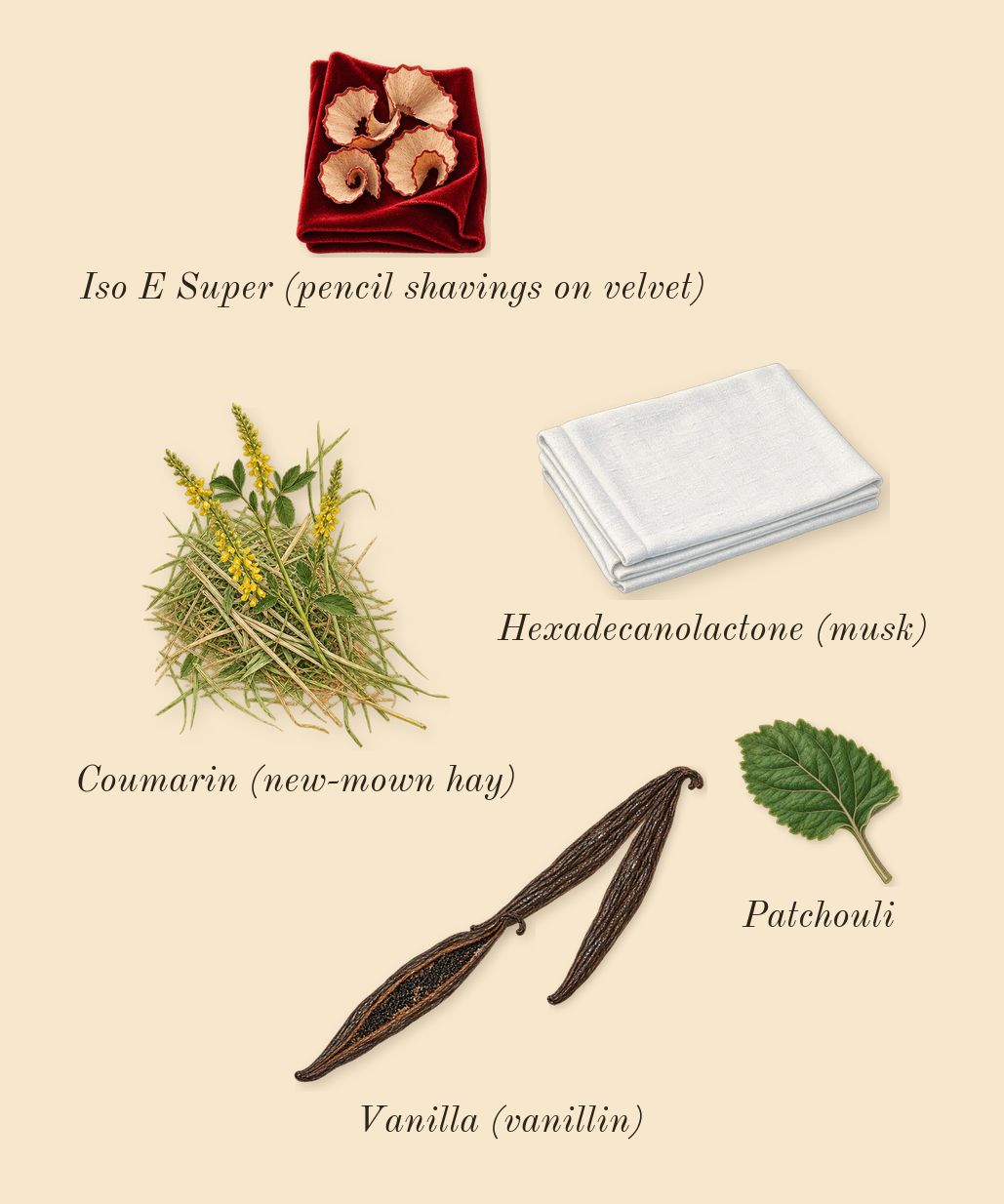 Libre Berry Crush, dry-down: Vanilla (vanillin), Patchouli, Iso E Super (pencil shavings on velvet), Coumarin (new-mown hay), Hexadecanolactone (musk)