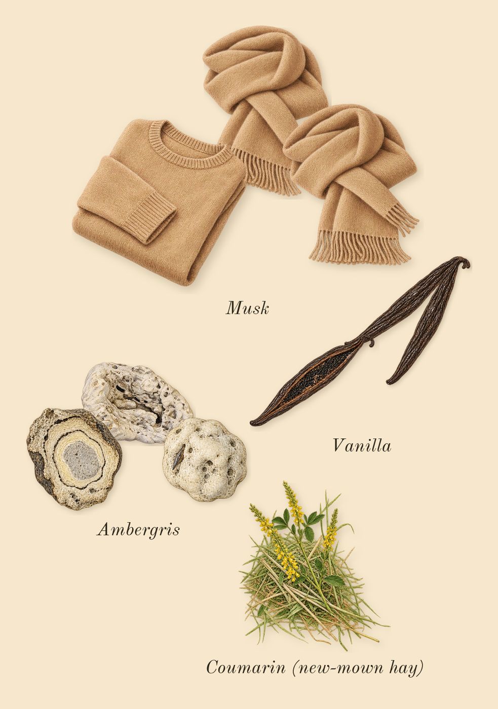 Libre, dry-down: Musk, Vanilla, Ambergris, Coumarin (new-mown hay)