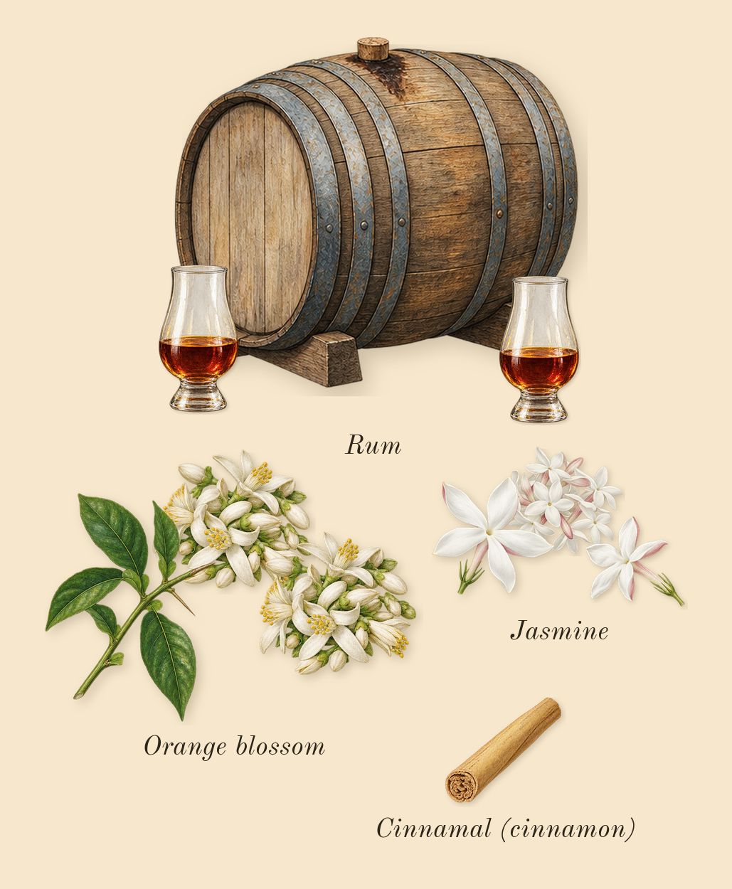 Libre Vanille Couture, heart: Orange blossom, Rum, Jasmine, Cinnamal (cinnamon)